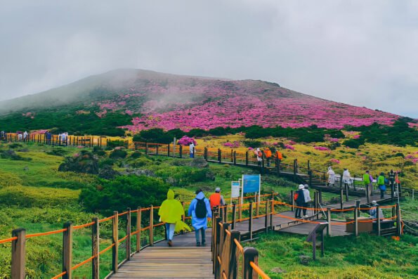  Jeju Island, South Korea