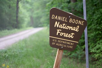 daniel boone national forest