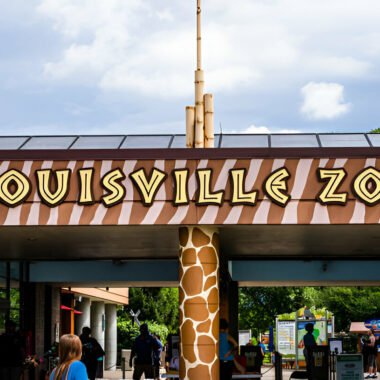 Explore the Louisville Zoo: Unforgettable Encounters Await